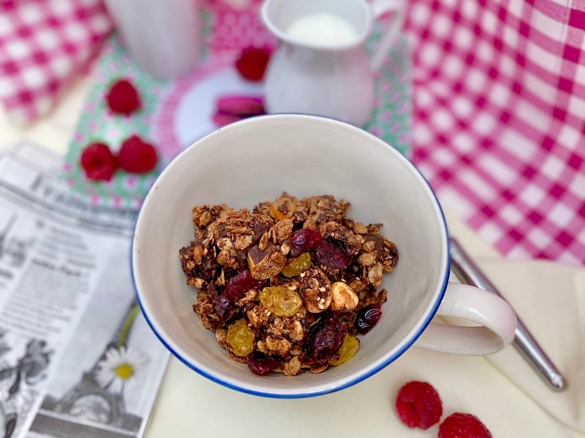 bowl of homemade chocolate coconut granola breakfast